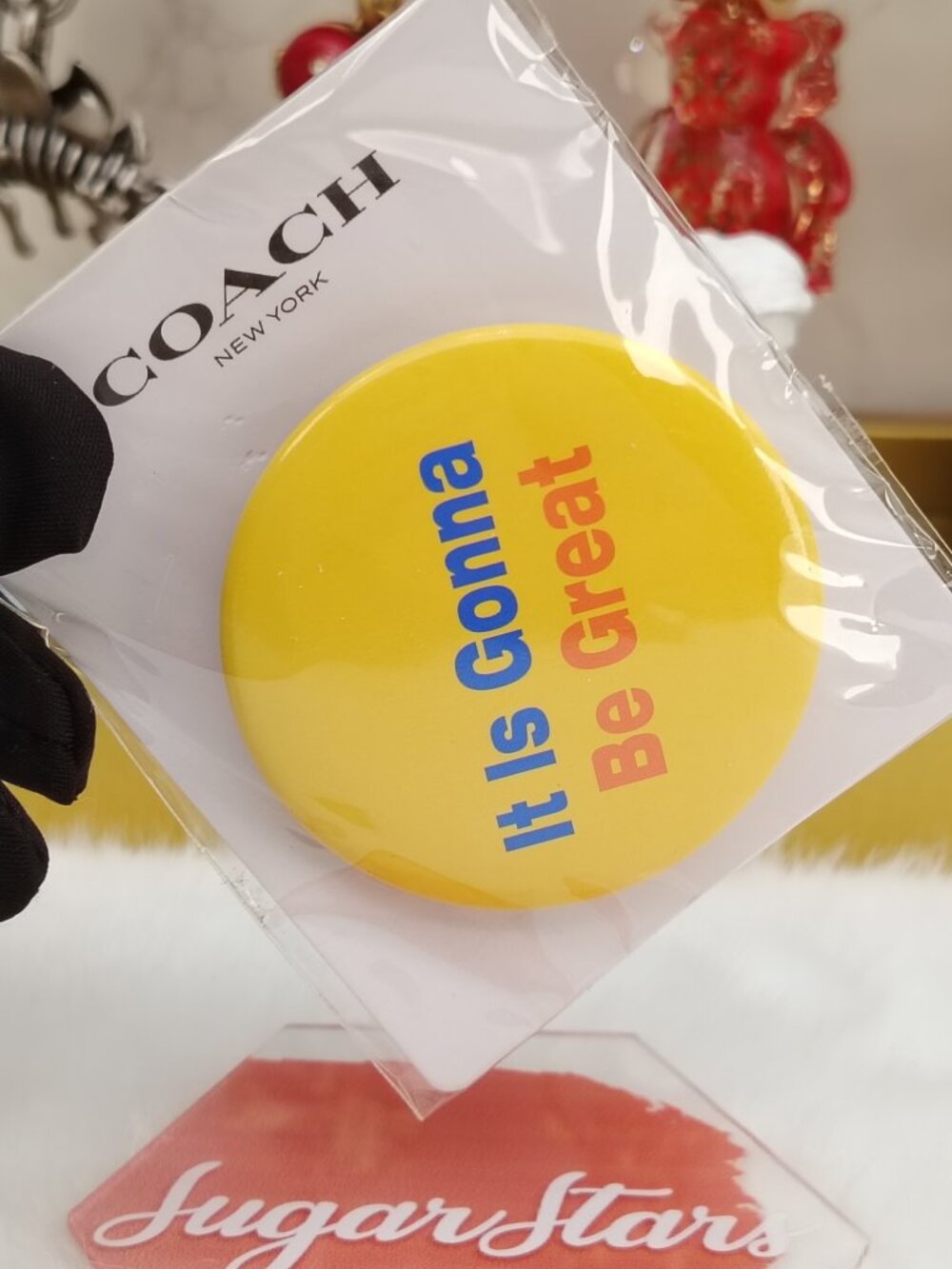 Coach brooch pin